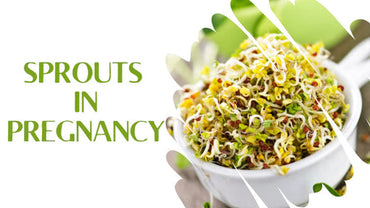 sprouts in pregnancy