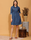 Maternity Denim Shirt Dress