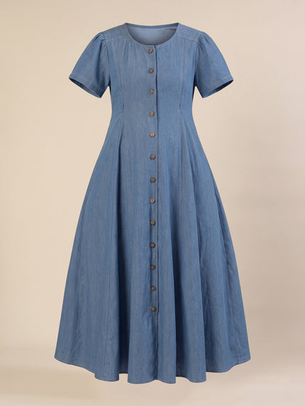 Maternity & Nursing Blue Denim Button-Front Midi Dress