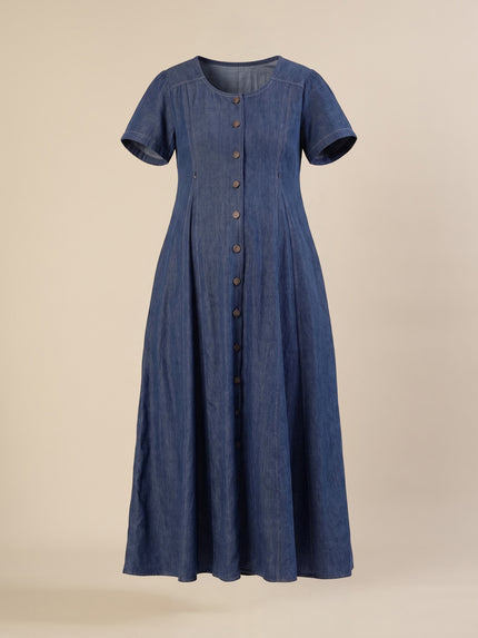 Maternity & Nursing Steel Blue Button-Front Denim Dress