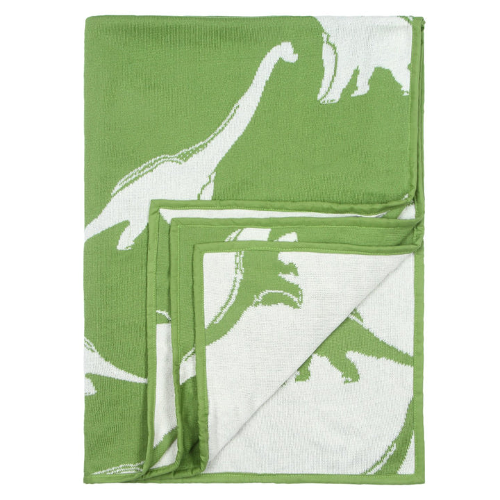 Baby Blanket with Pillow Dinosaur Print
