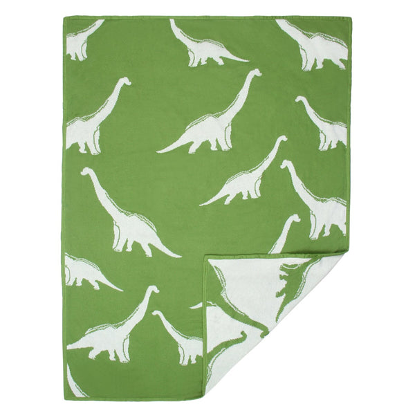 Baby Blanket with Pillow Dinosaur Print