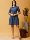 Maternity Denim Shirt Dress